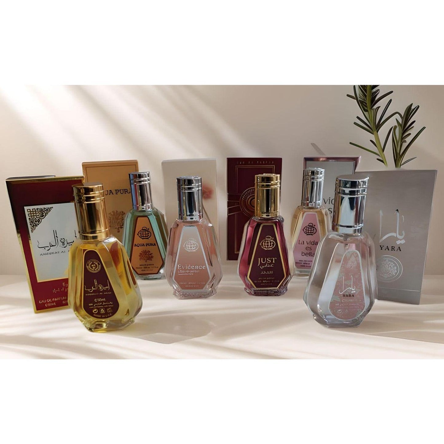 Pack 6 Eaux de Parfum 6x50 ml – Mixte – Fragrance World & Orientaux